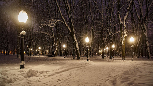Why are LED lights best for cold weather conditions?