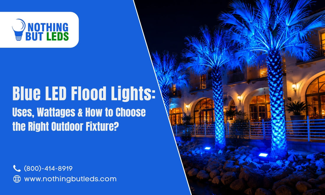 Blue LED Flood Lights: Uses, Wattages & How to Choose the Right Outdoor Fixture