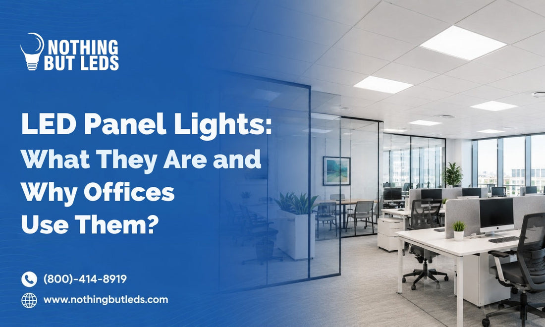LED Panel Lights: What They Are and Why Offices Use Them