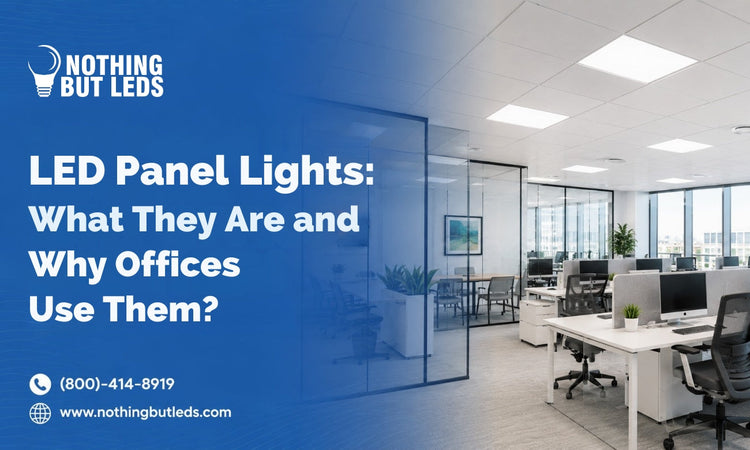 LED Panel Lights: What They Are & Why Offices Use Them – Nothing But LEDs