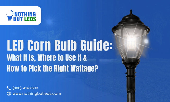 LED Corn Bulb Guide: What It Is, Where to Use It & How to Pick the Right Wattage