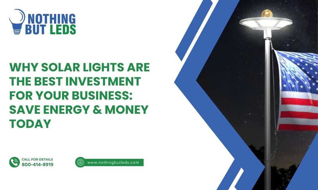 Why Solar Lights Are the Best Investment for Your Business: Save Energy, Money Today