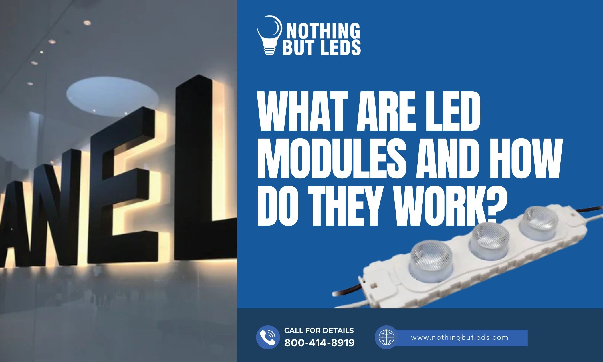 What Are LED Modules and How Do They Work? – Nothing But LEDs