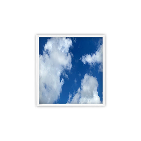 LED Cloud Panel | Adj Watt 20W/25W/30W/35W/40W | Adj CCT 3K/3500K/4K/5K/6500K | 100-277V