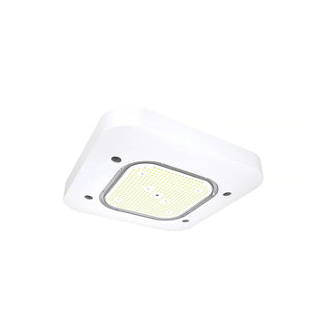 LED Petroleum Canopy Light | 150 Watt | 22290 Lumens | 5700K | 120V-277V