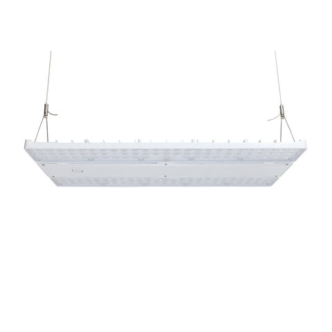 LED Linear High Bay | Adj Watt 240W-270W-310W | 36240-46810 Lumens | Adj CCT 4000K-5000K | 120-347Vac | White Housing | UL & DLC Listed | 5 Year Warranty - Nothing But LEDs