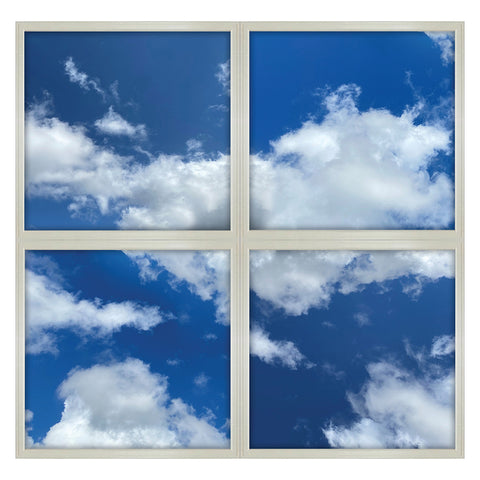 LED Cloud Panel | Adj Watt 20W/25W/30W/35W/40W | Adj CCT 3K/3500K/4K/5K/6500K | 100-277V