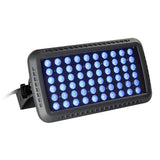 LED Flood Light | 100 Watt | Blue | 100V-277V | 30 Degree Beam Angle | Grey Housing | ETL Listed | 5 Year Warranty
