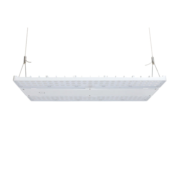 LED Linear High Bay | Adj Watt 240W-270W-300W | 36240-45300 Lumens | 5000K | 120V-277V | White Housing | UL & DLC Listed | 5 Year Warranty - Nothing But LEDs