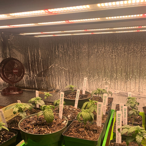 LED Grow Light | 720 Watt | 1760μMol/s | Full Spectrum | 120V-277V | 44.4" X 42.8” | ETL Listed | 5 Year Warranty - Nothing But LEDs