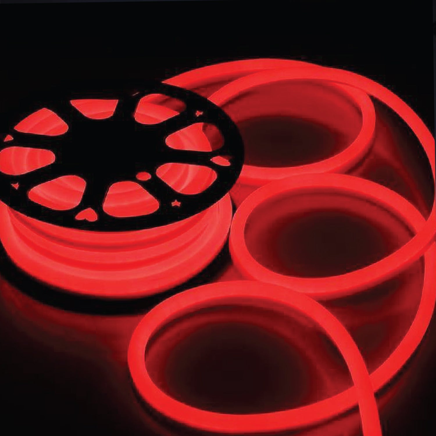 50 Meter LED Neon Rope Light, IP Rating: 65 at best price in